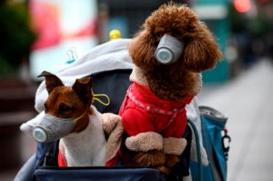 След карантината светът няма да е същият