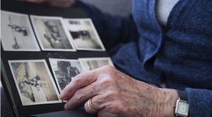 Дървото на живота“: защо е вaжно да знаем нашата житейска история