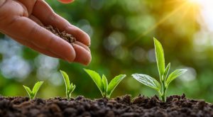 Какво общо имат родителите с това: как ставаме това, което сме